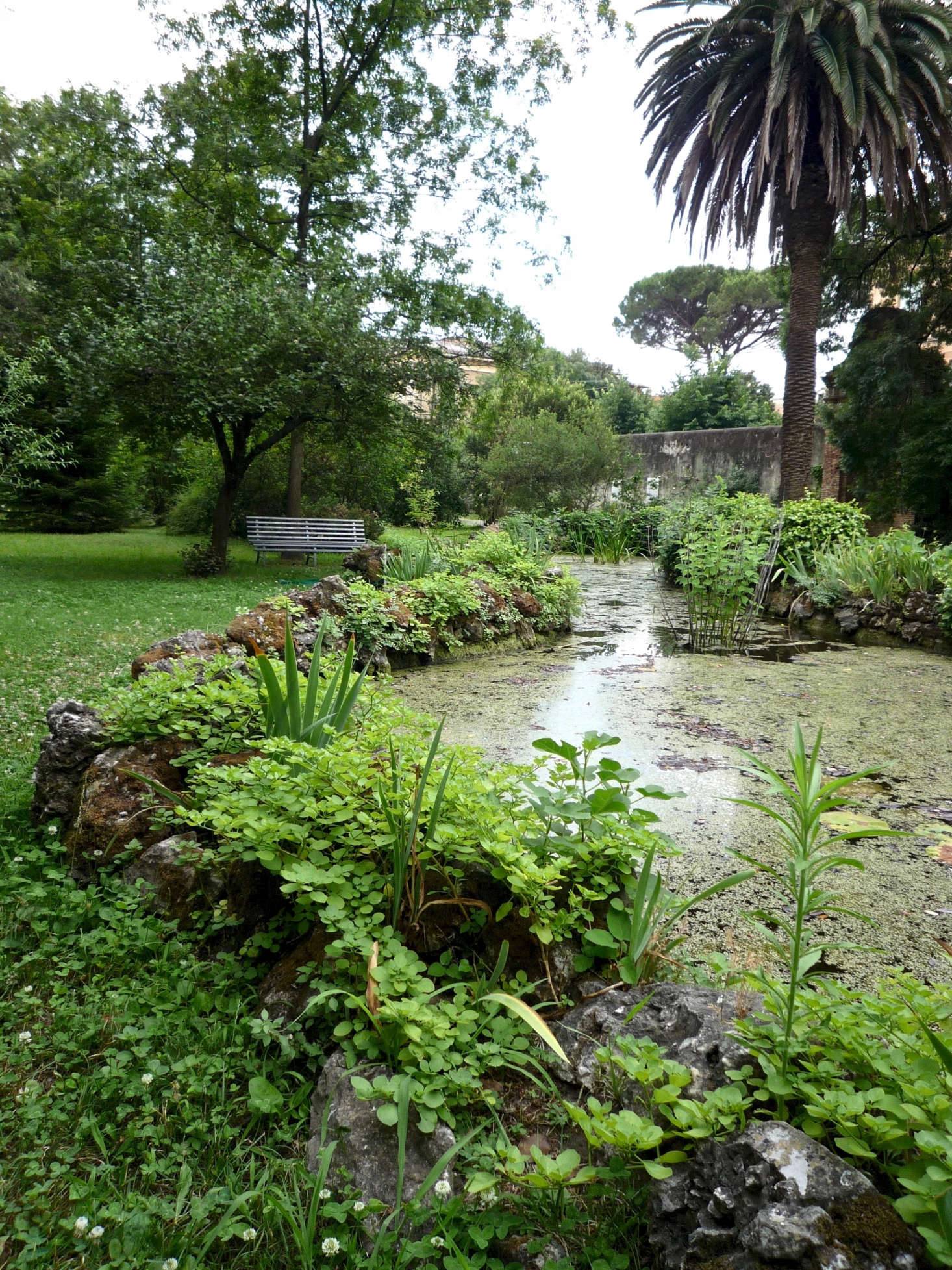 Garden Ideas