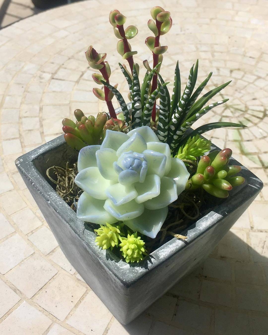Garden Ideas