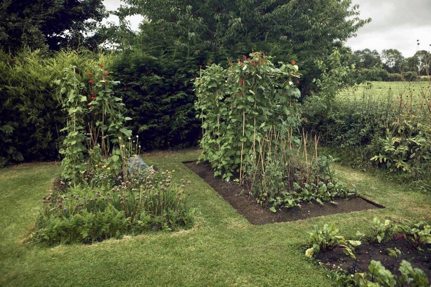Amazing Gardens