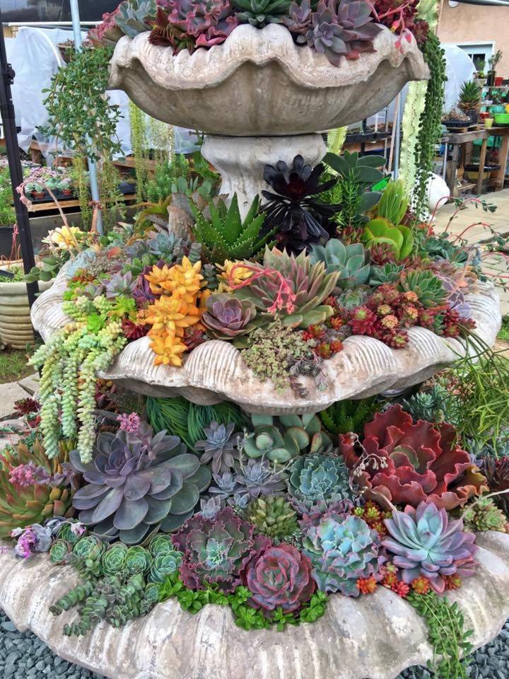 Backyard Landscaping Ideas Decor