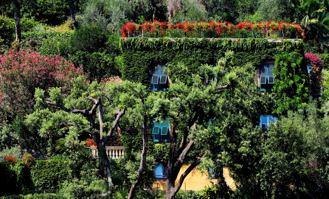 Side Yard Garden Design Ideas
