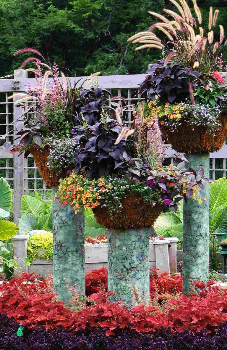 Beautiful Container Gardening Ideas Page
