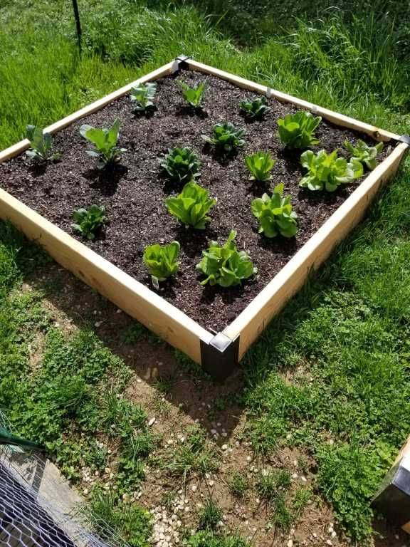 15 Raised Garden Bed Corner Brackets Ideas For This Year SharonSable