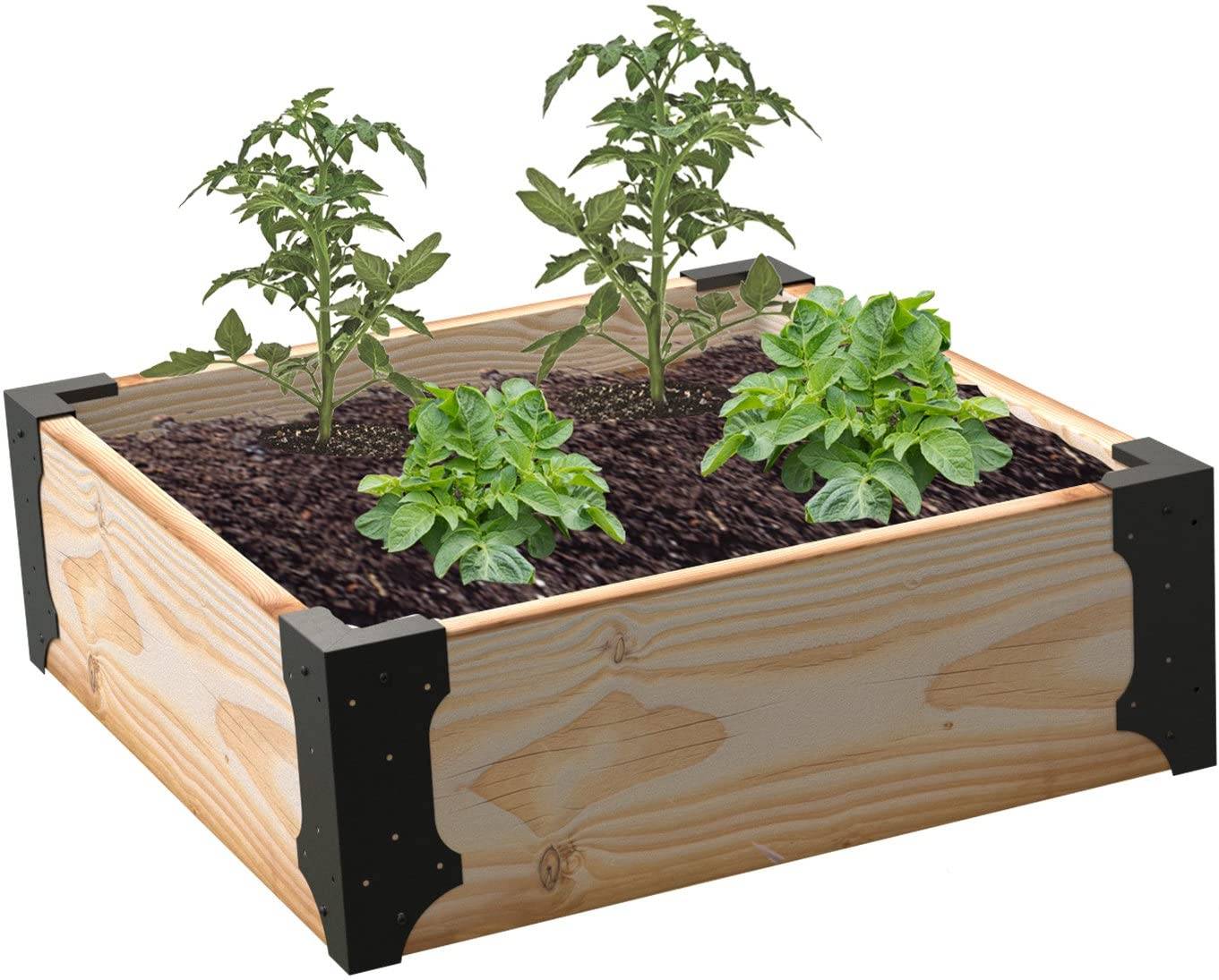 15 Raised Garden Bed Corner Brackets Ideas For This Year SharonSable