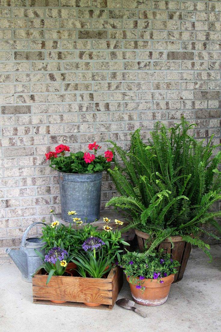 22 Beautiful Container Garden Ideas You Should Check | SharonSable