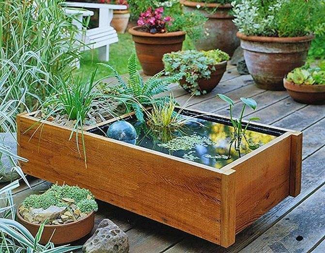 14 Container Water Garden Ideas To Consider SharonSable