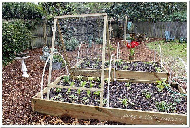 Garden Planter