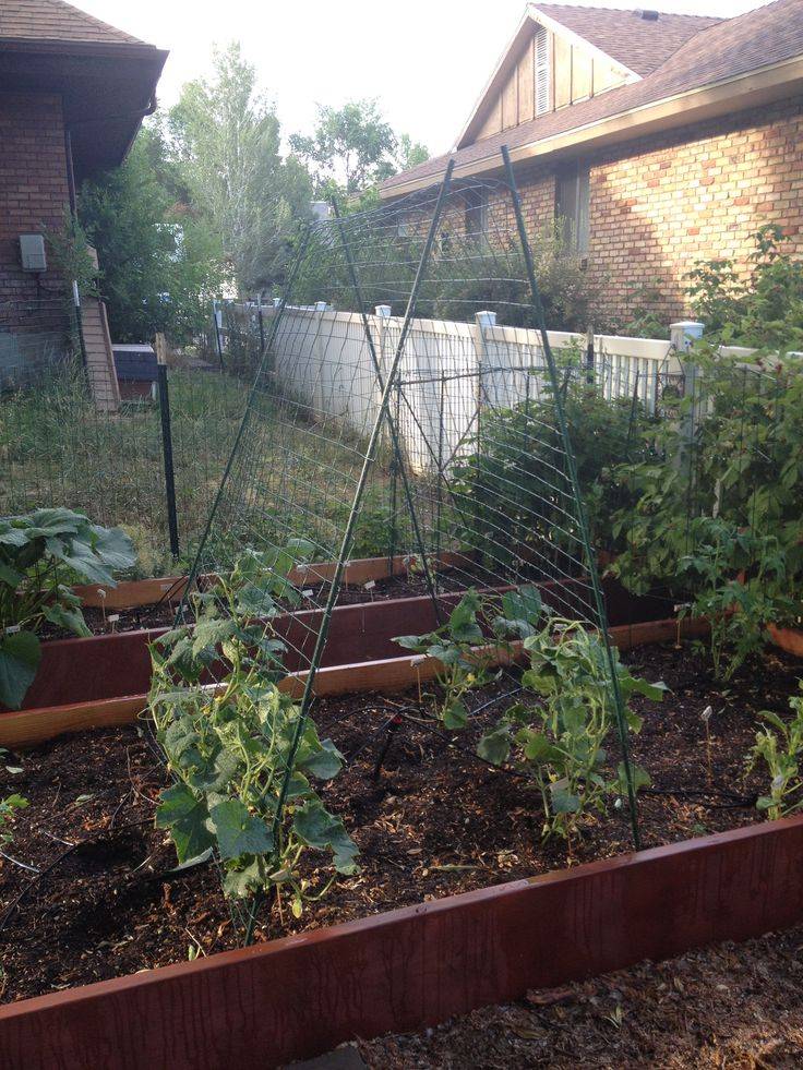 Our Raised Garden Beds