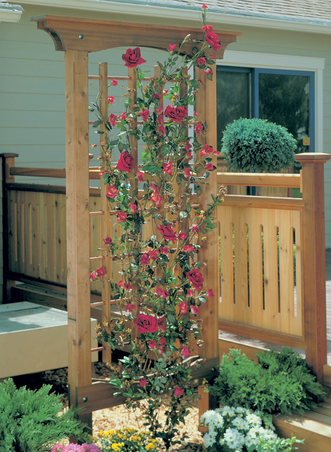 Easy Diy Garden Trellis Ideas