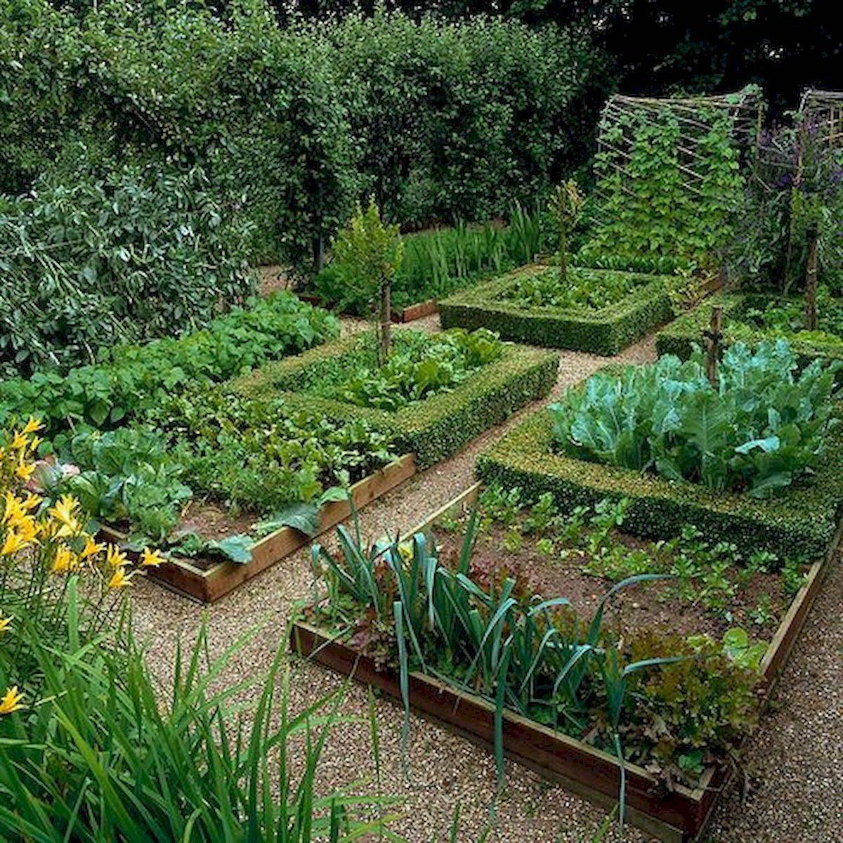 Beautiful Little Potager Garden