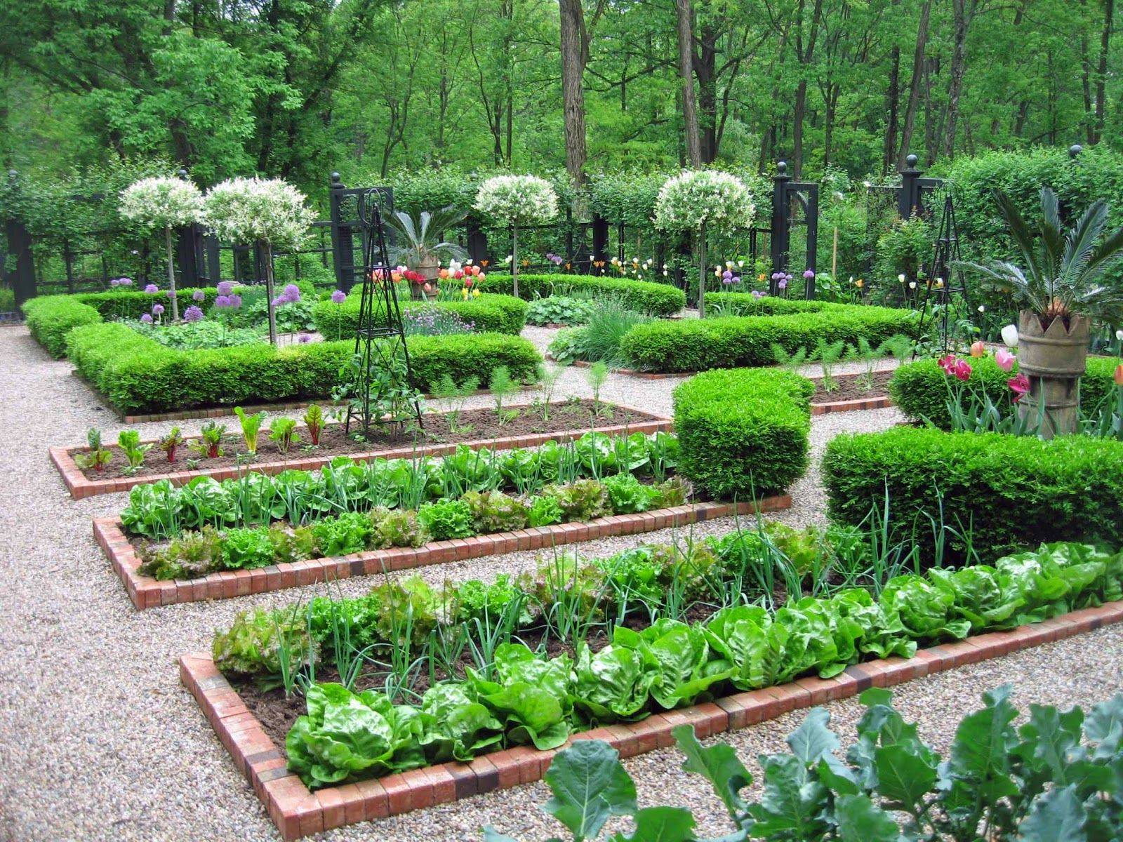 Vegetable Garden Design Le Potager