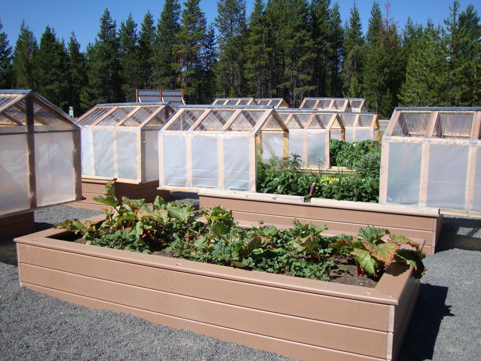 Easy Raised Bed Options Ceres Greenhouse