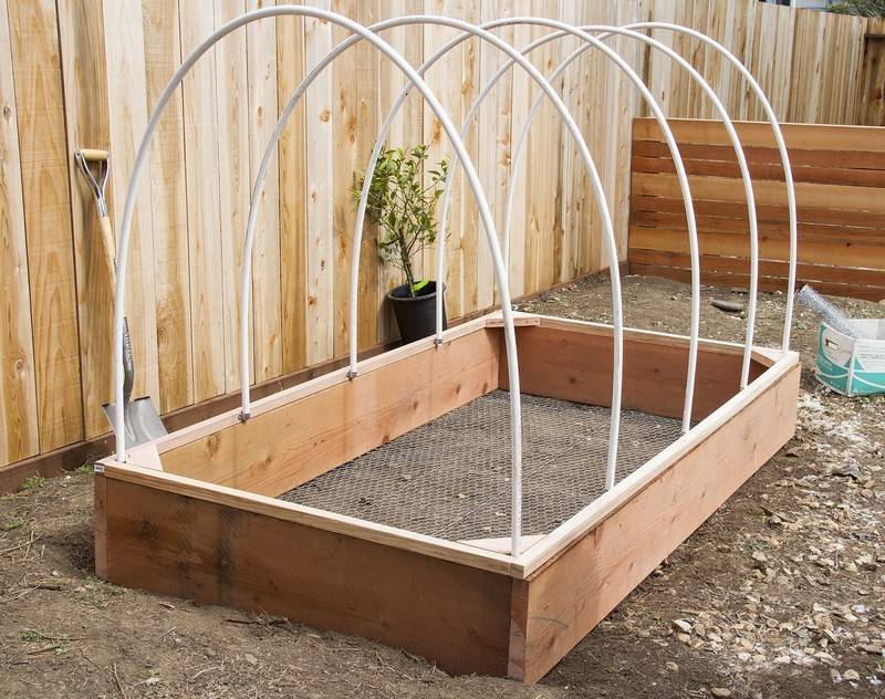 Pinterest Raised Beds