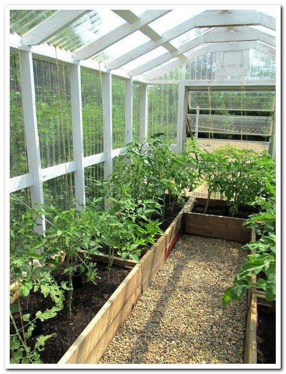 Polytunnel Greenhouse