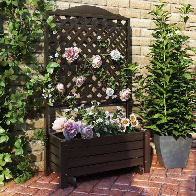 Trellis Shades