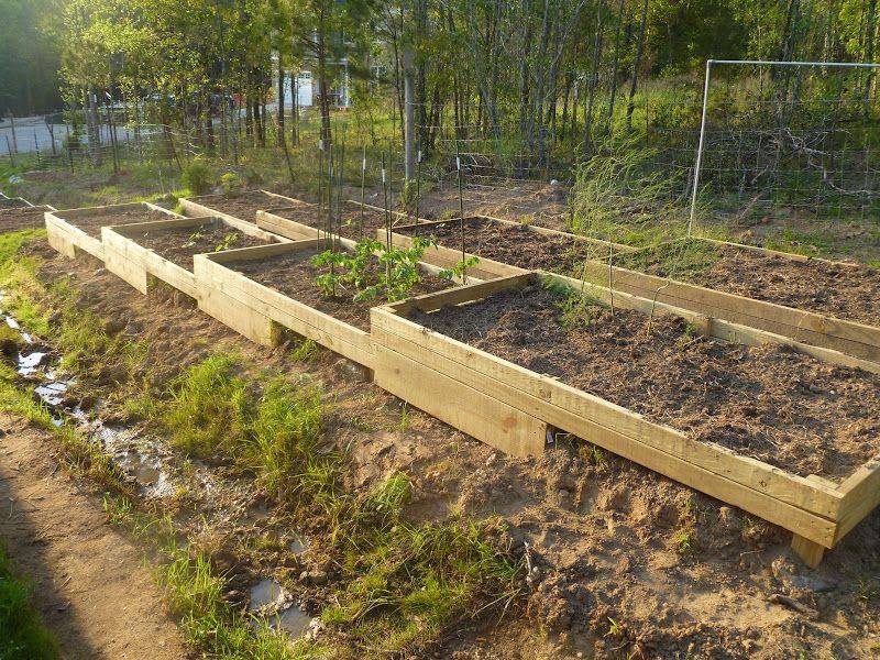 A Slope Sloped Garden