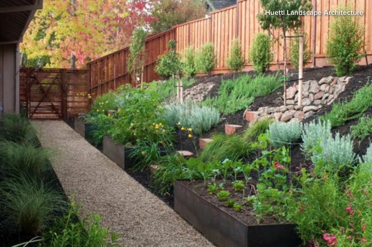 Facebook Sloped Garden