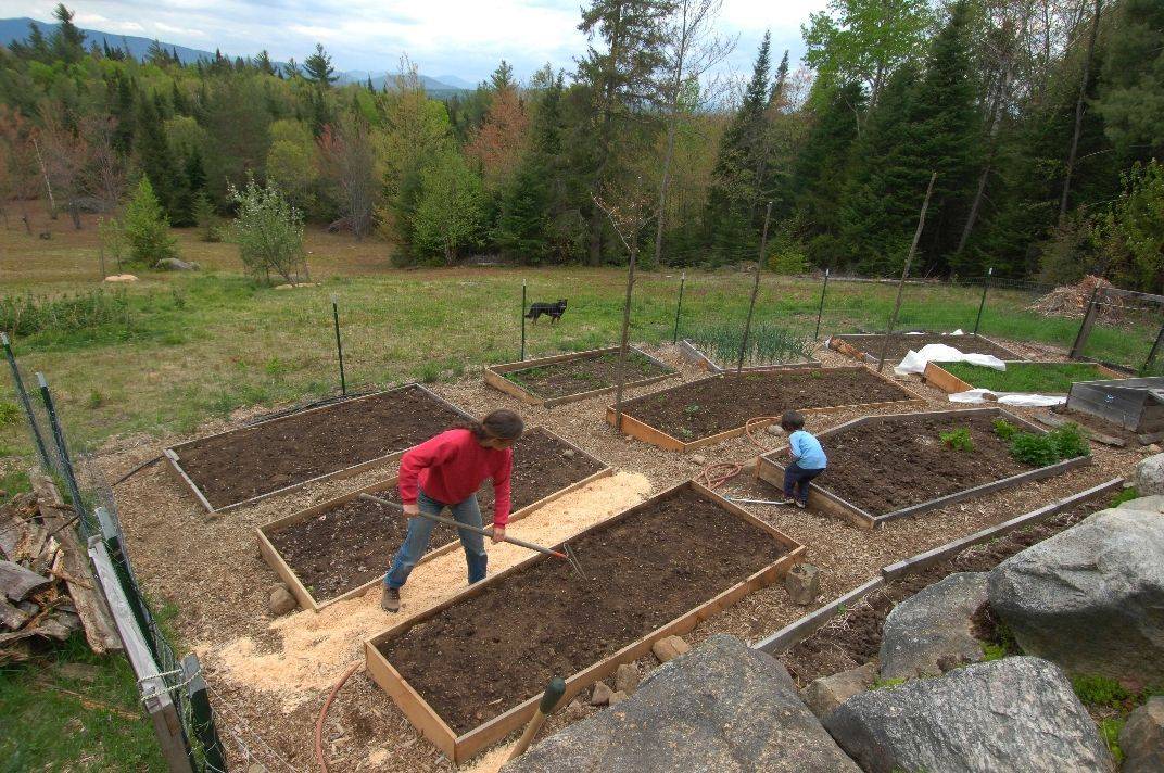 Raised Bed Vegetable Gardens Traditional Landscape Providence