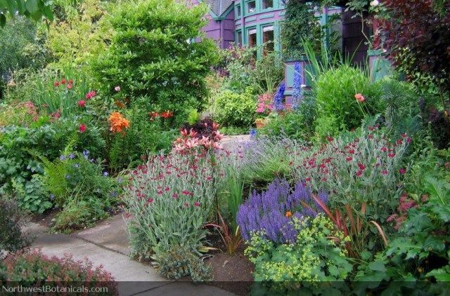 A New Pacific Northwest Shade Garden