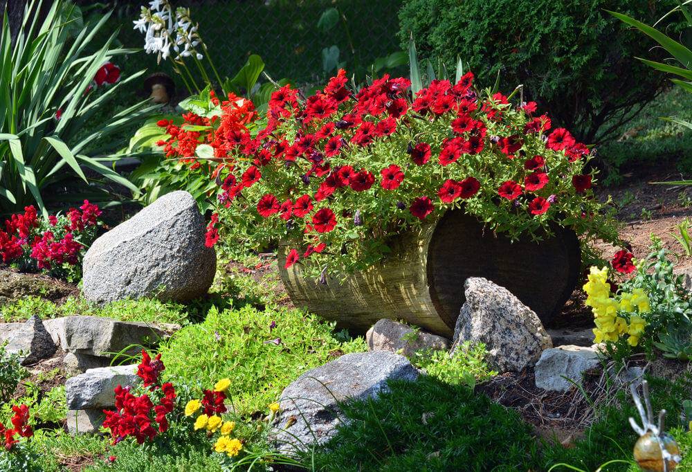 Lovely Small Flower Gardens
