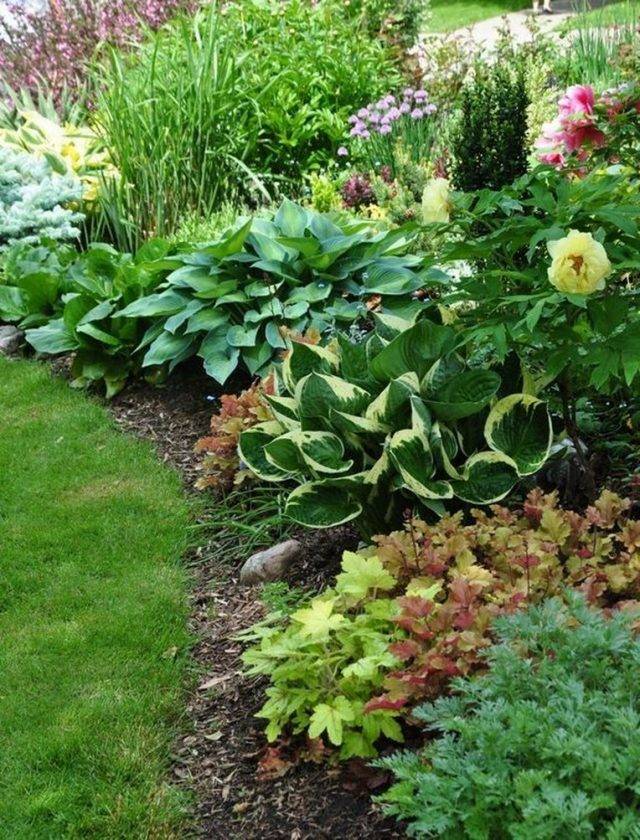 South Small Backyard Gardens