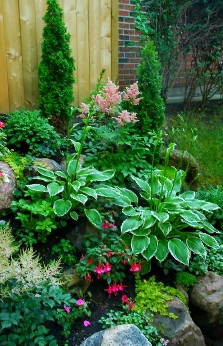 Hosta Shade Garden Front Yard Landscaping Design