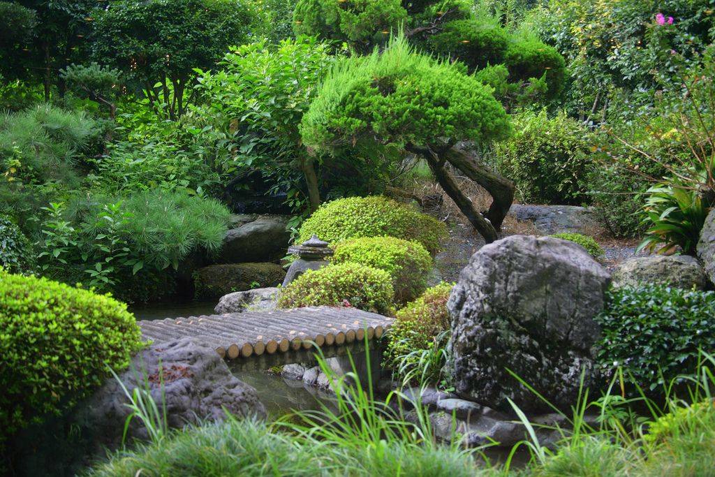 Garden Ideas And Landscape Design Shade Garden Plants