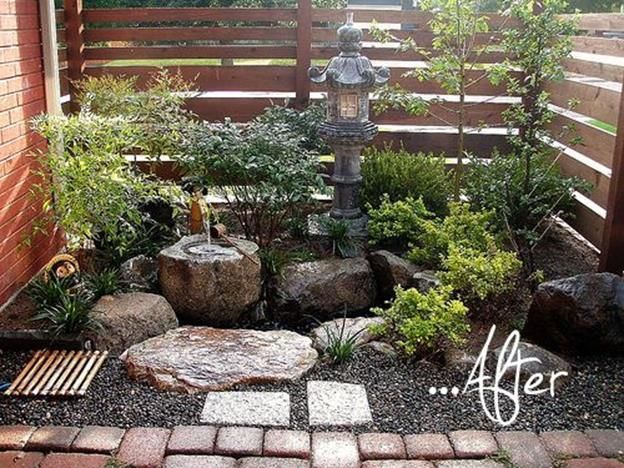 Evergreen Shrubs