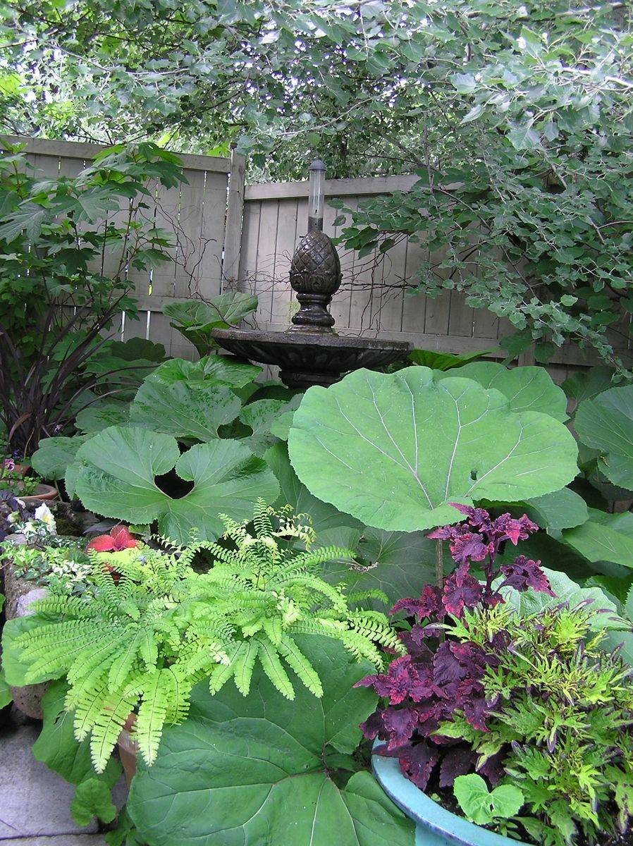 Shade Garden Design Ideas