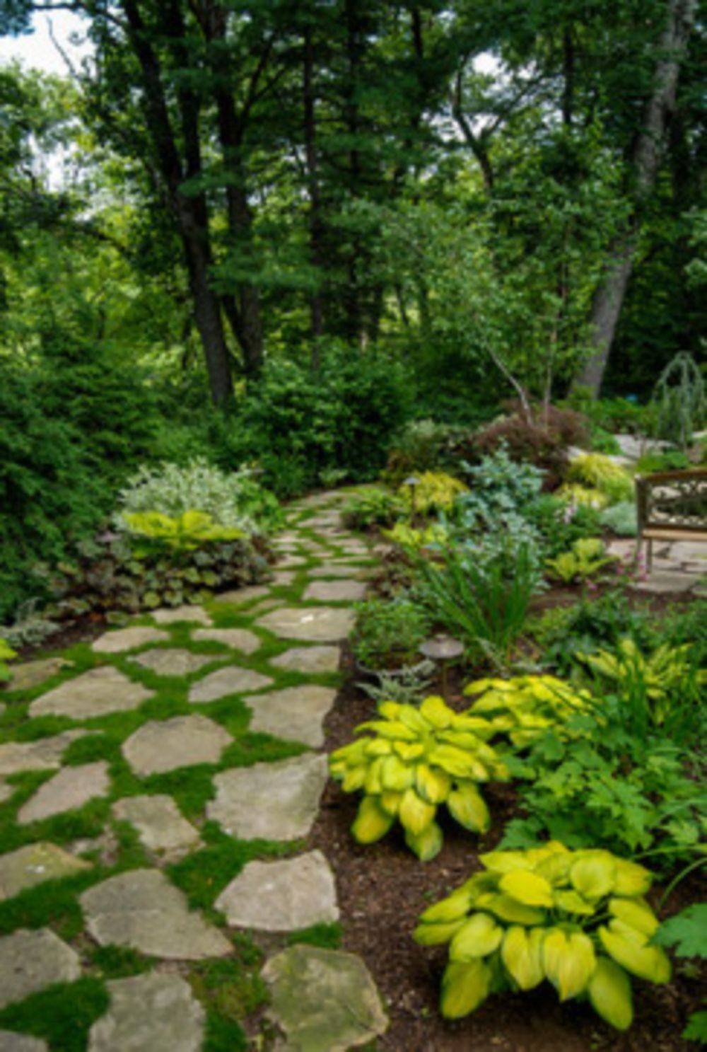 Beautiful Shade Garden Design Ideas