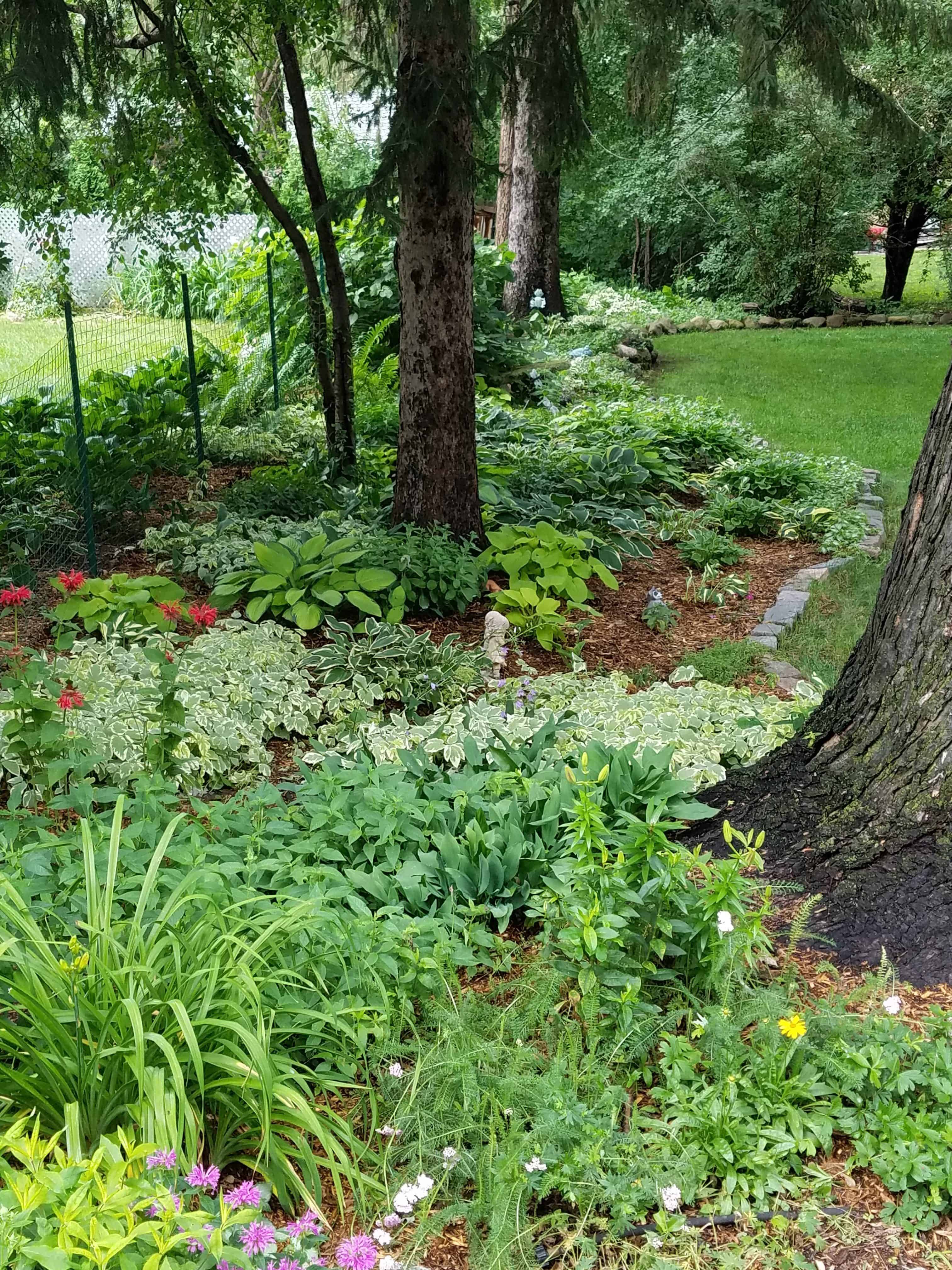 Beautiful Shade Garden Design Ideas