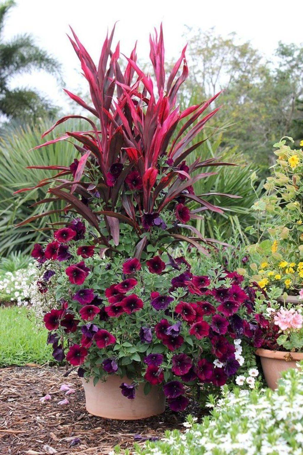 Fabulous Summer Container Garden Flowers Ideas