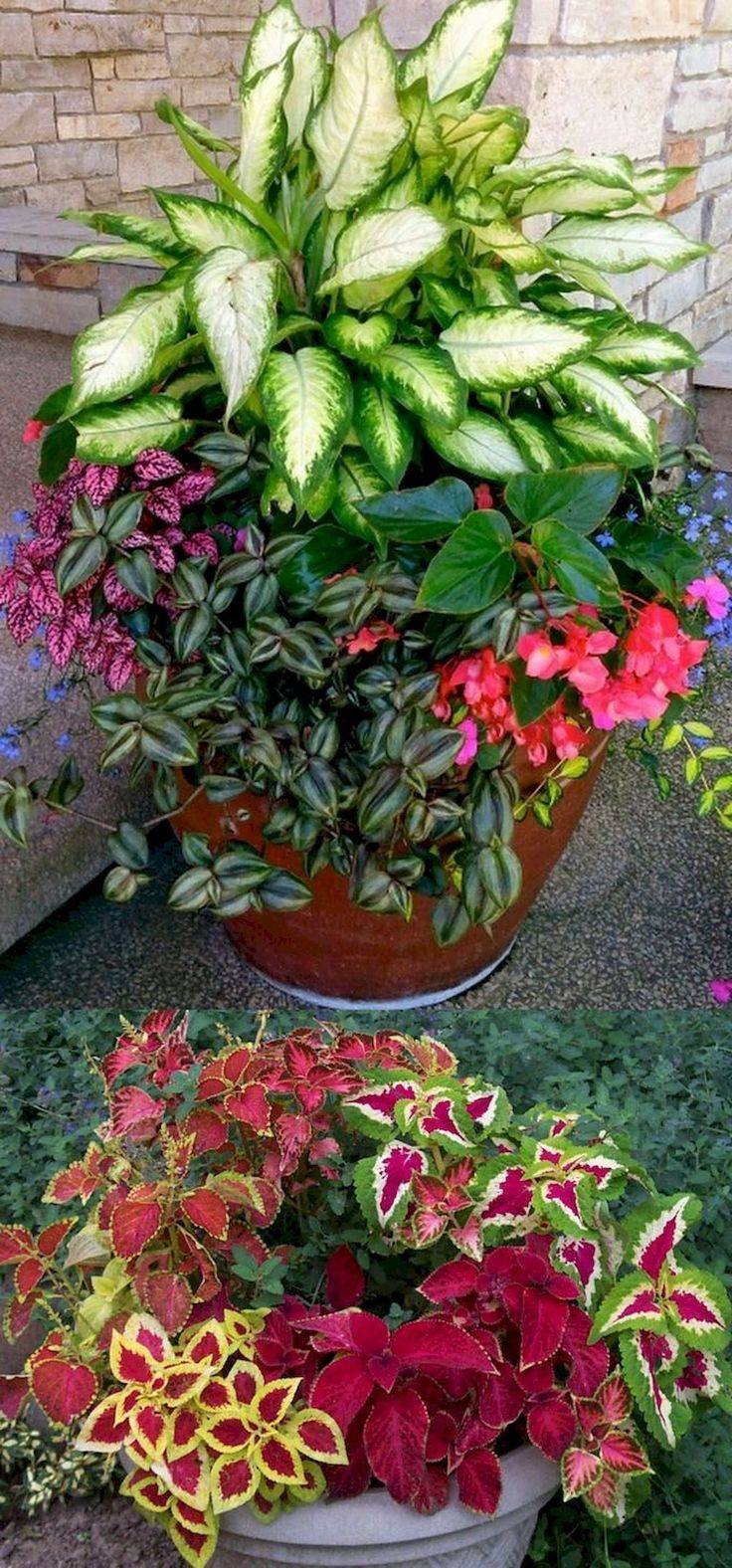 Stylish Colorful Shade Garden Pots Ideas