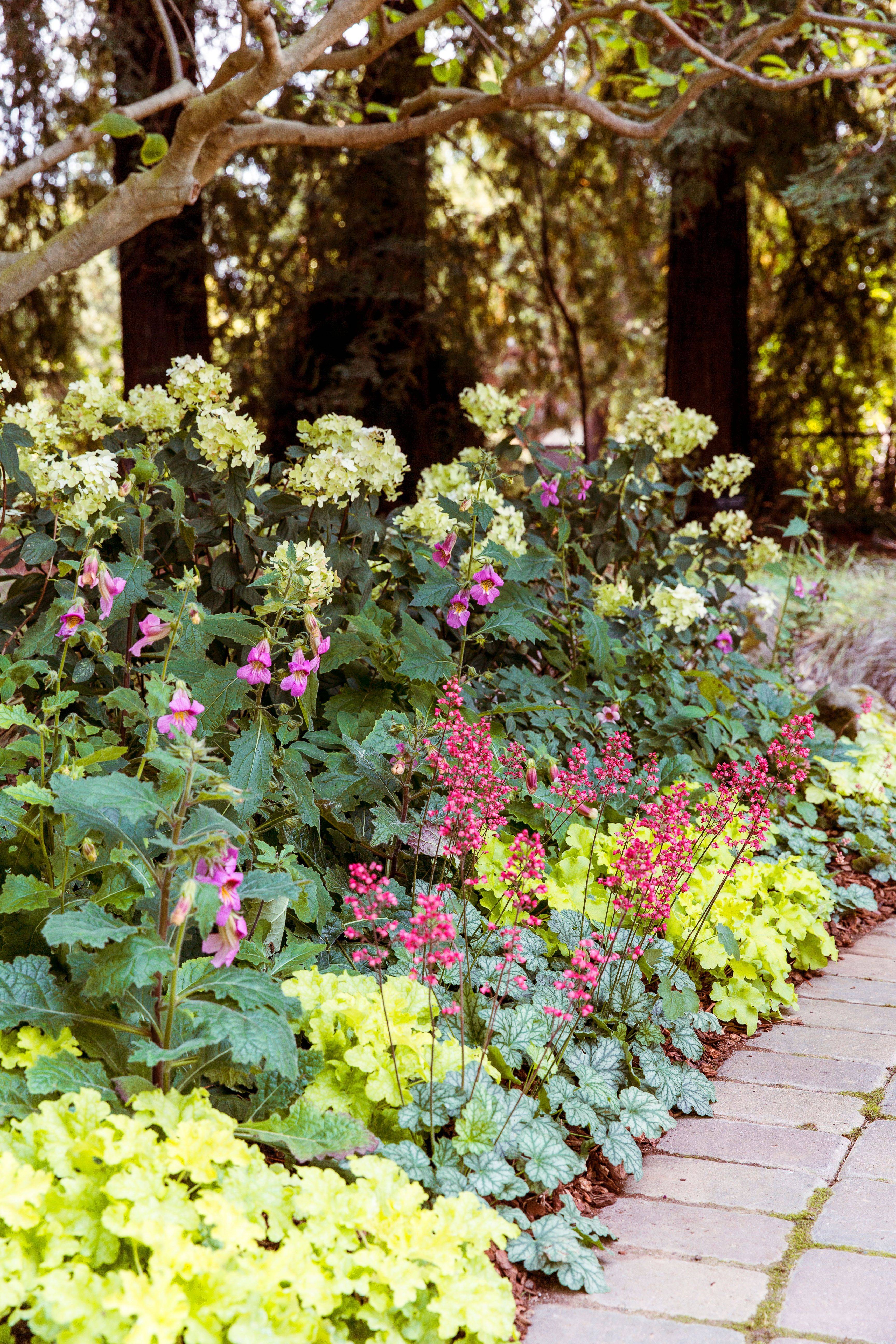 Shade Landscape Patio Small Flower Garden Design Designs Fascinating