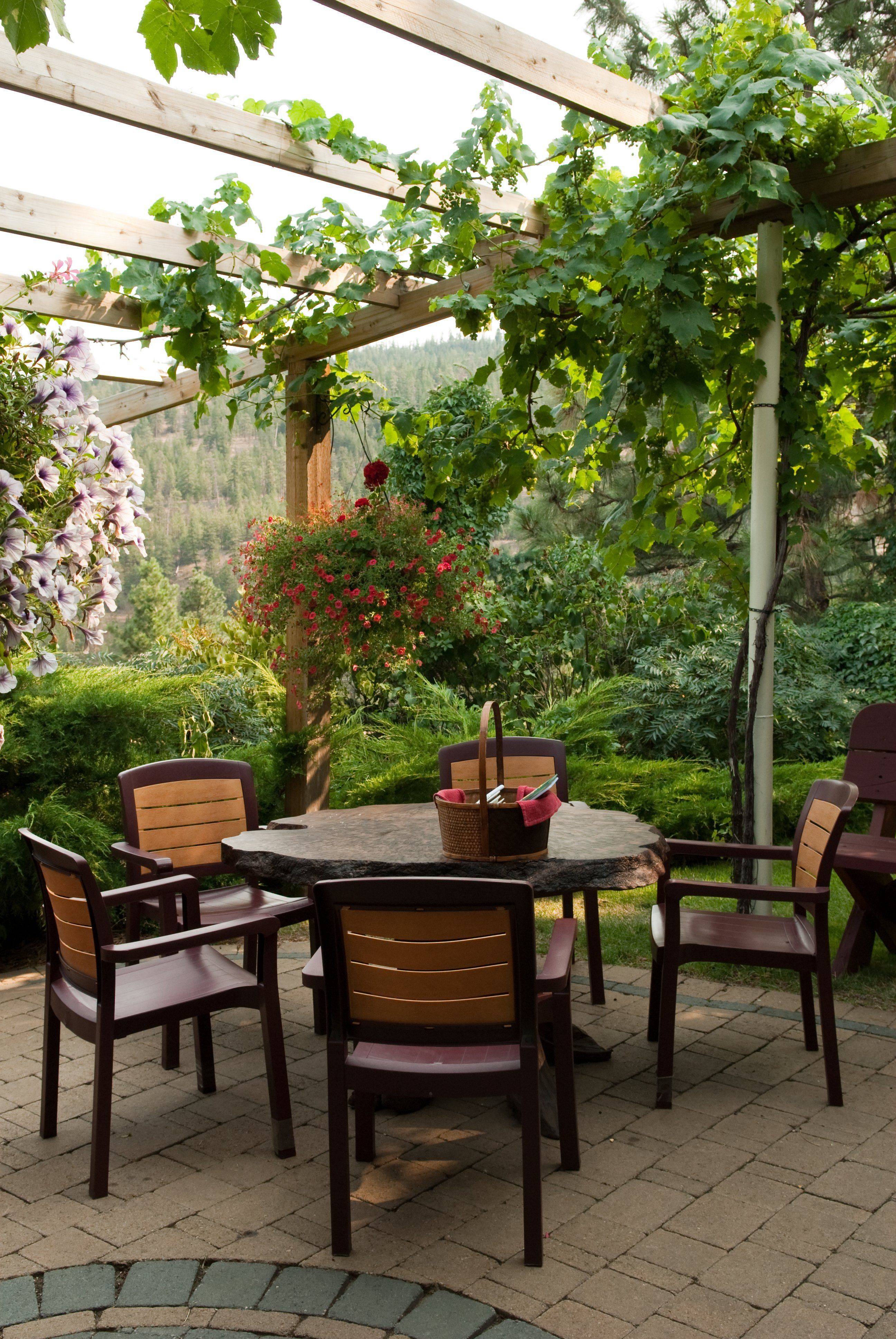 These Five Patio Shade Ideas