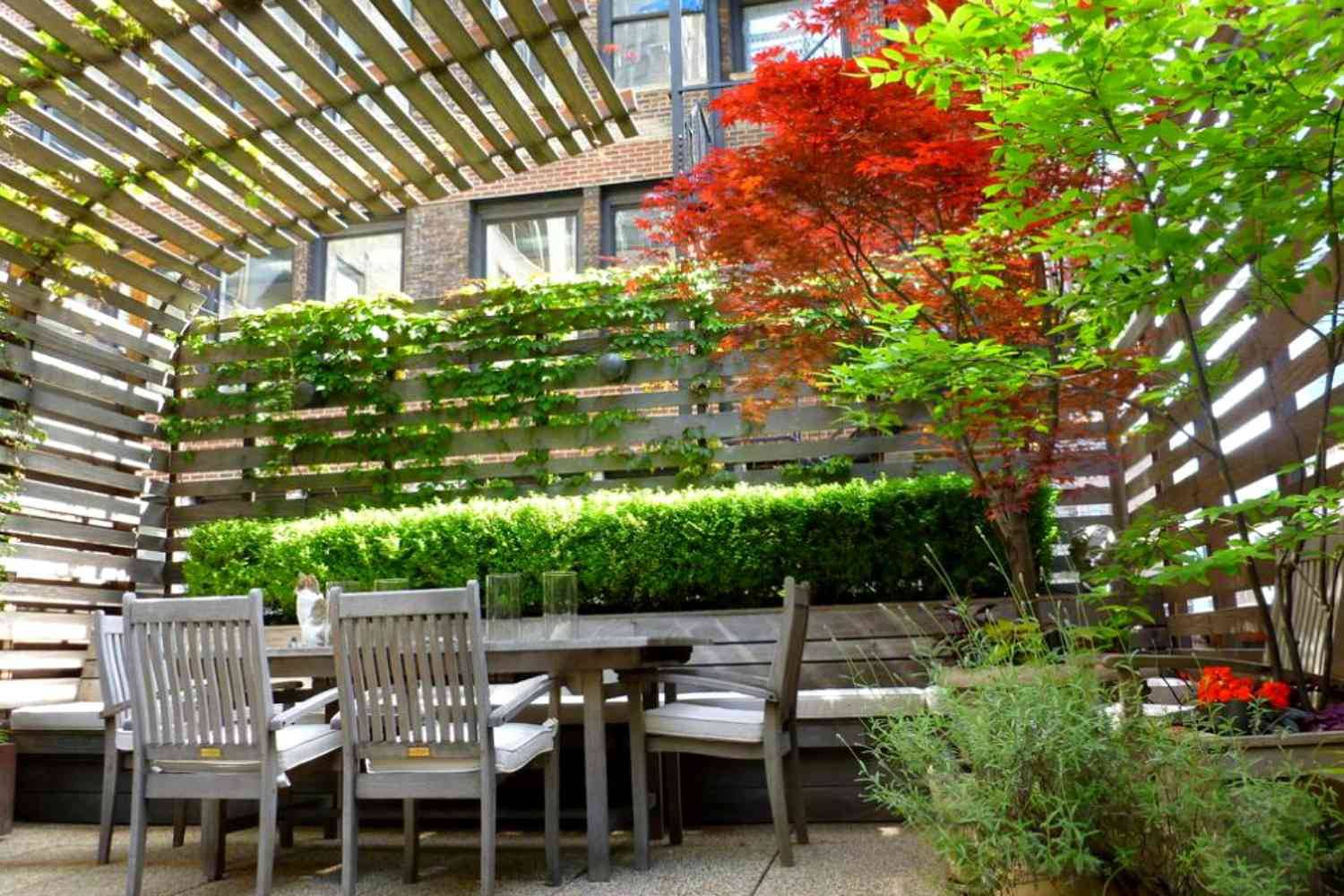 Creative Attractive Shade Structures