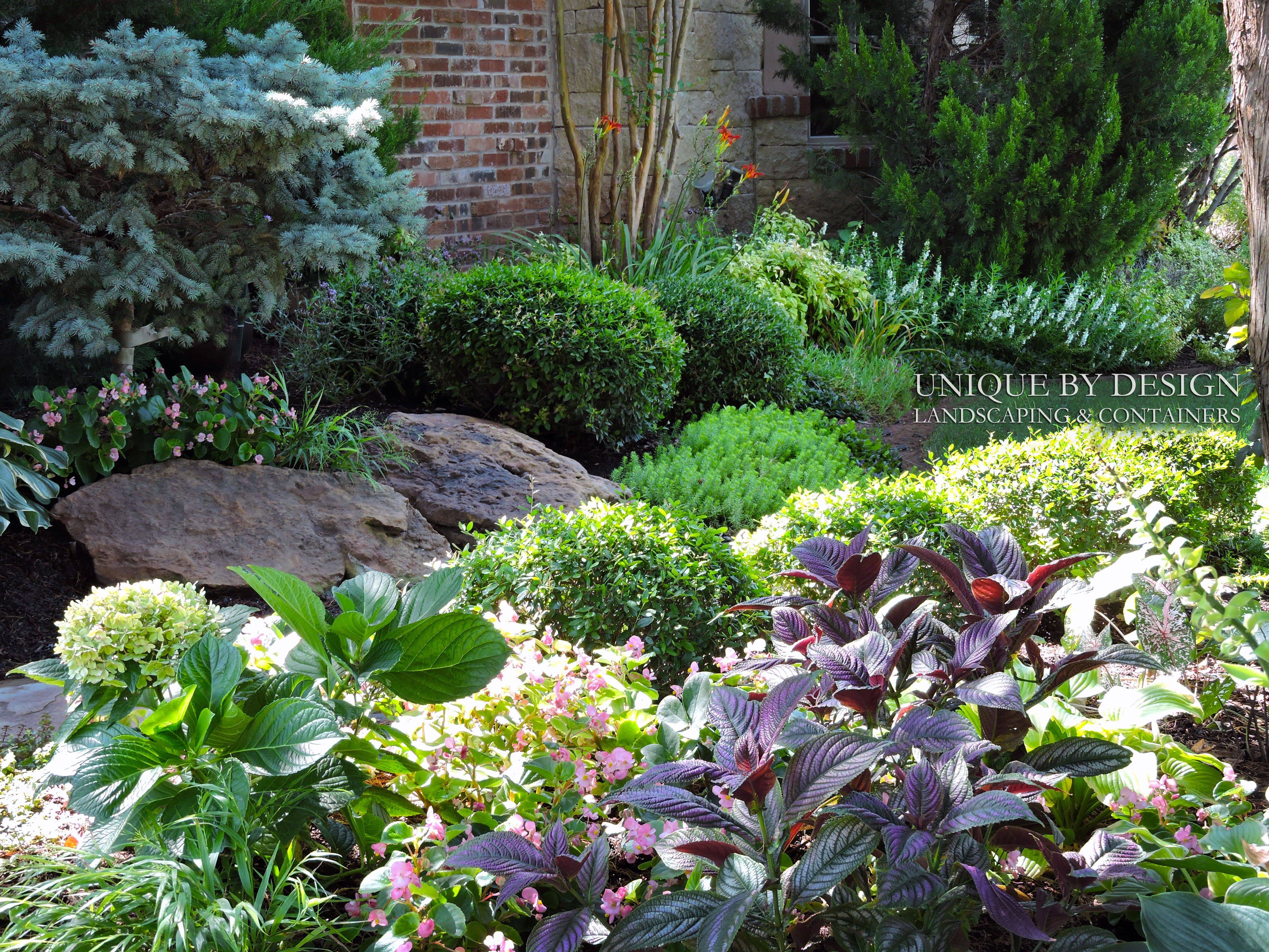 Stunning Small Cottage Garden Ideas