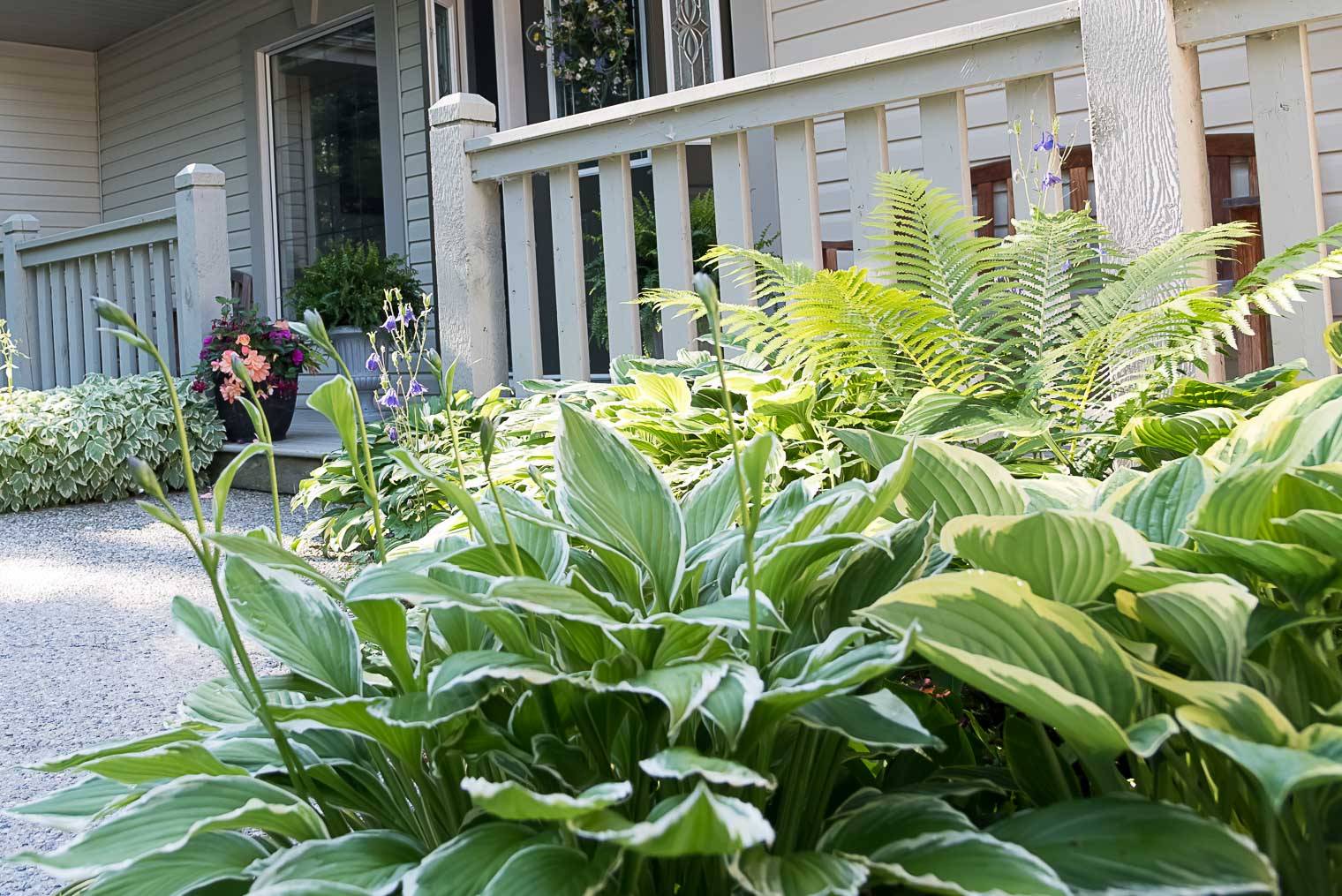 Popular Collection Landscaping Shaded Areas Home Decor