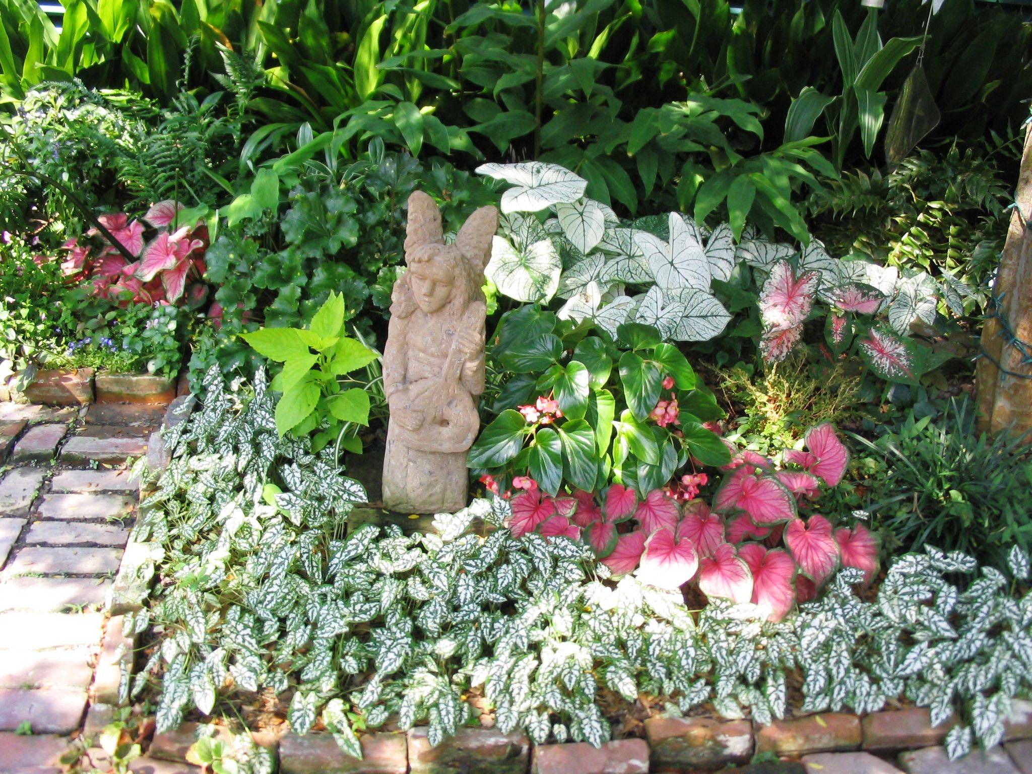 My Fullsun Perennial Gardens