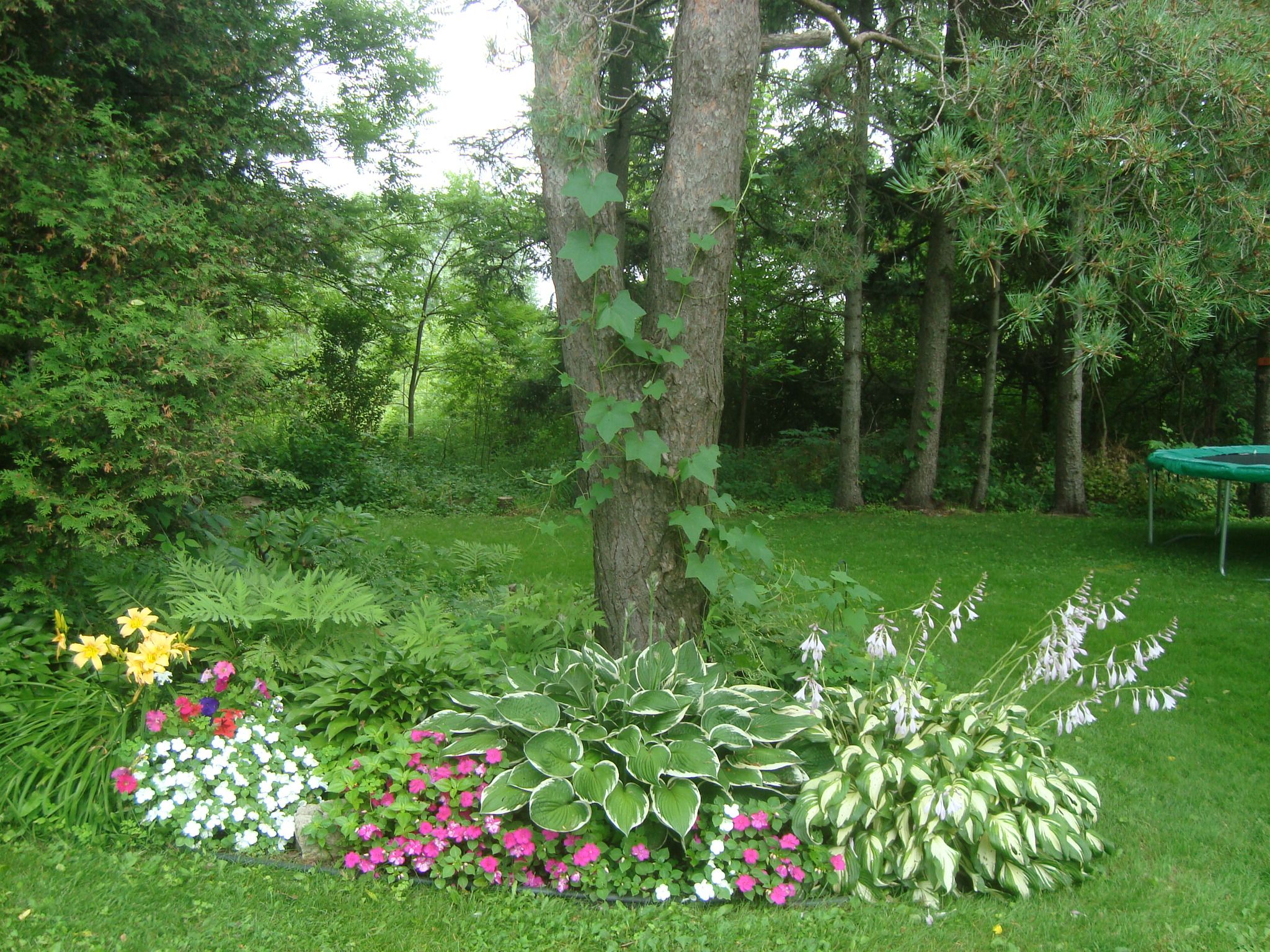 Front Yard Landscaping Design