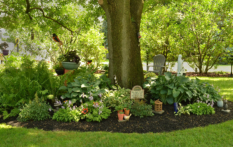 Nice Full Shade Garden