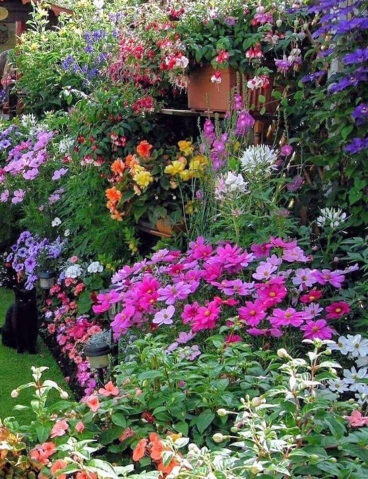 Lovely Cottage Garden Design Ideas