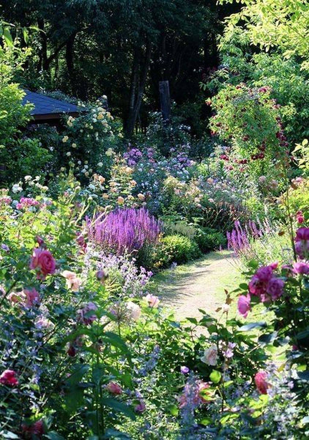 The Perfect Perennial Flower Bed