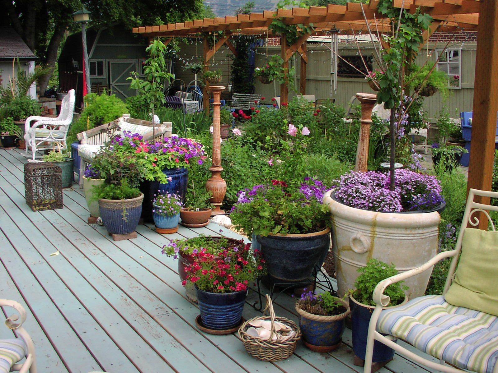 Beautiful Container Gardening Ideas Page