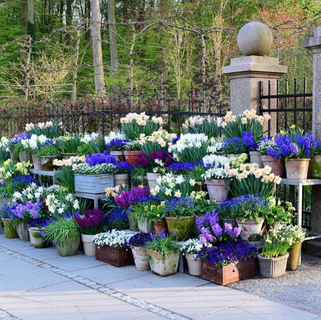 Beautiful Summer Container Garden Flowers Ideas Structhomecom