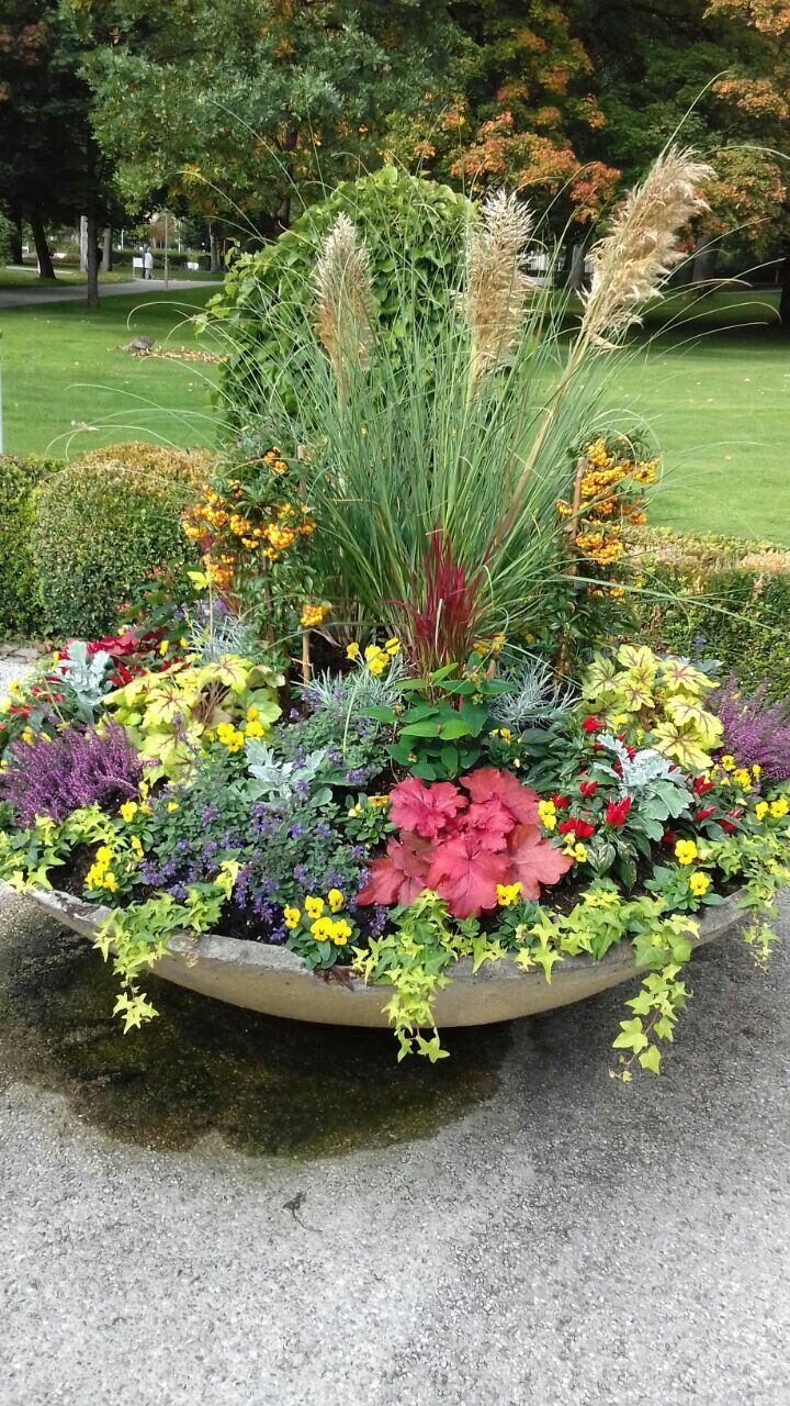 A Patio Container Garden