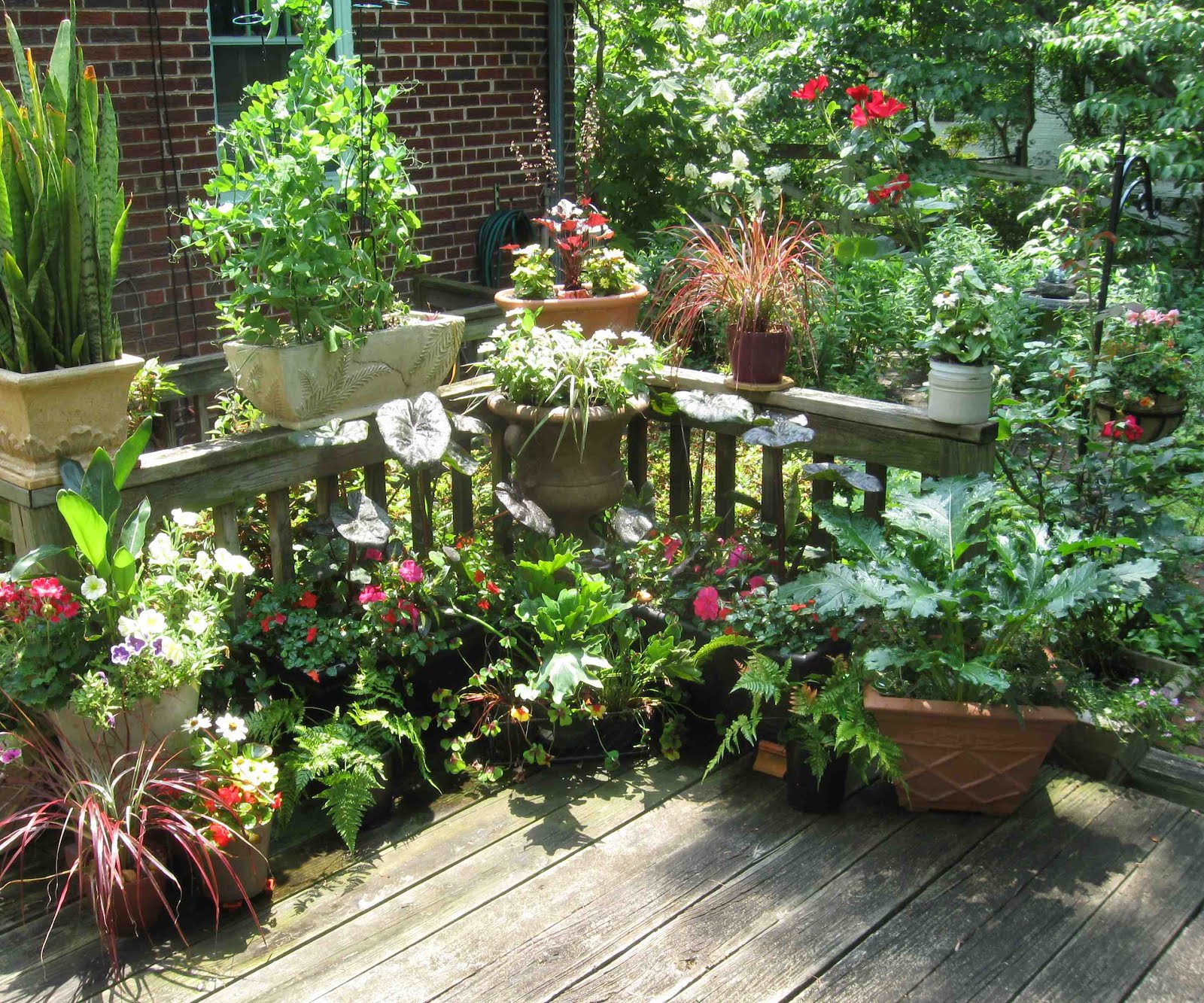 Container Gardening