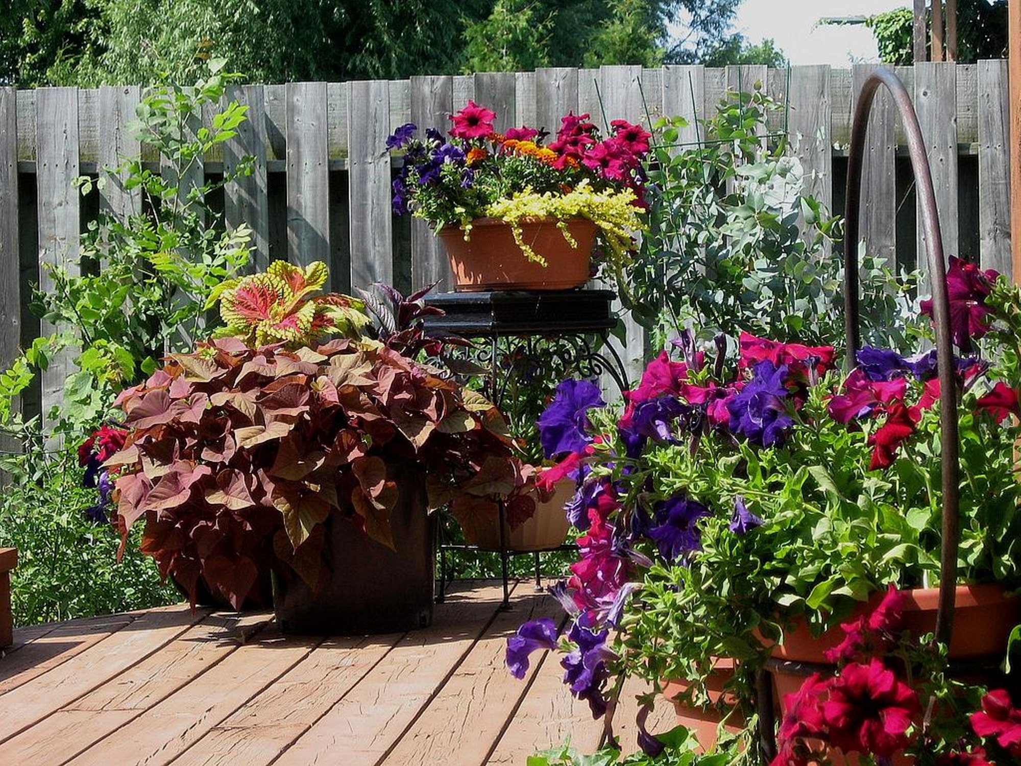 Rinda West Designs Containers And Deck Gardens