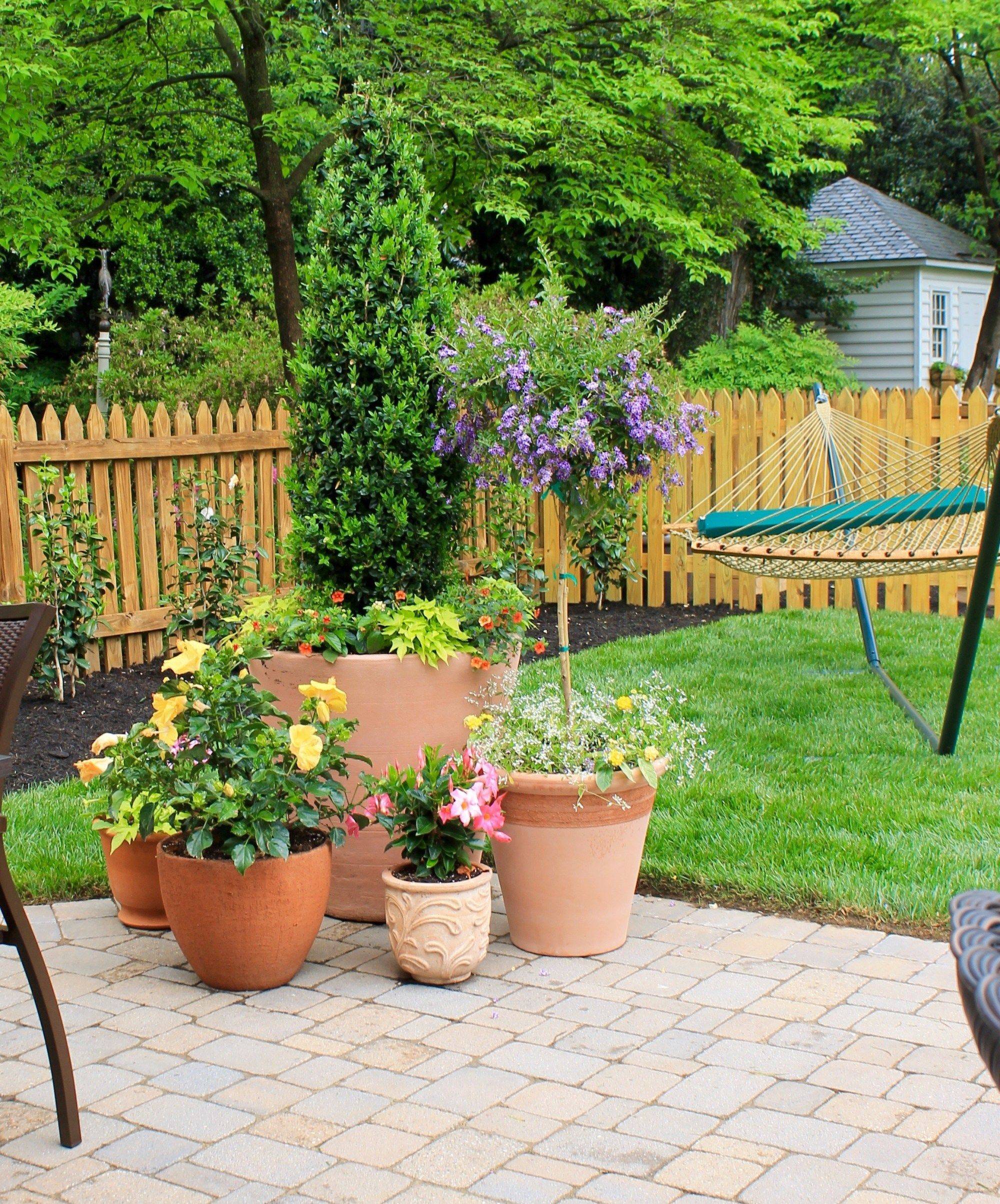 Beautiful Container Gardening Ideas Page