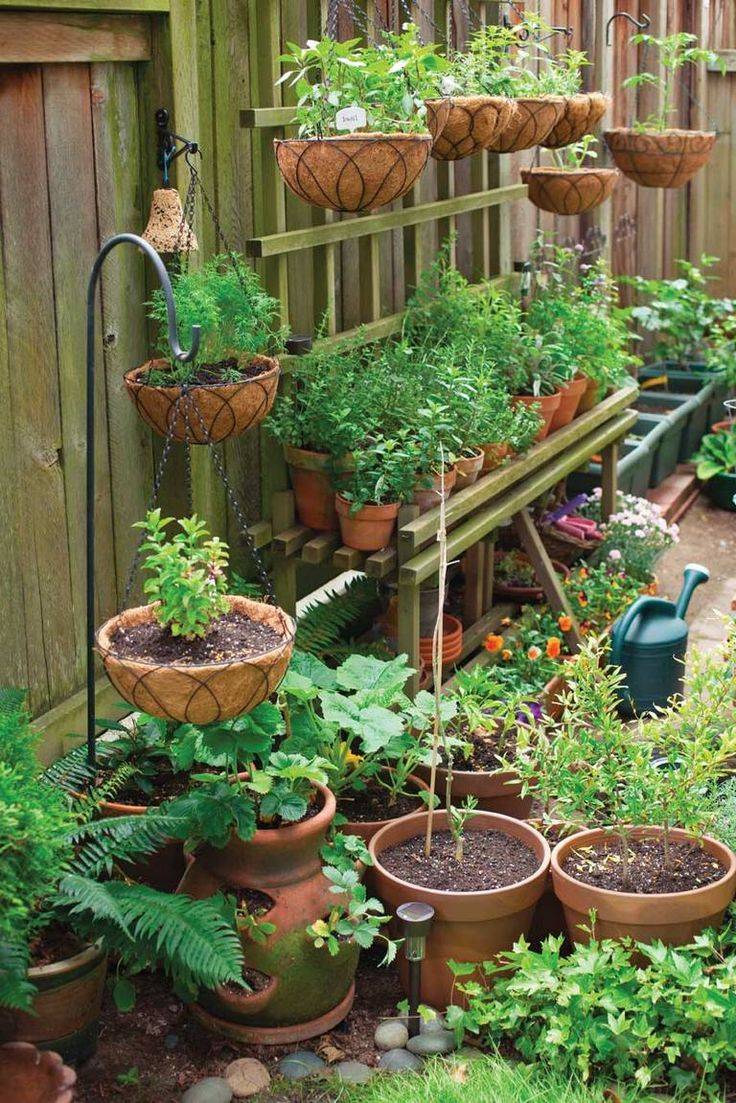 Vertical Container Gardening